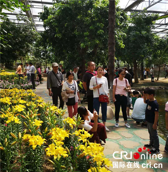 （供稿 旅游图文 CHINANEWS带图列表 移动版）南通国庆假期十大景区接待游客170余万人次