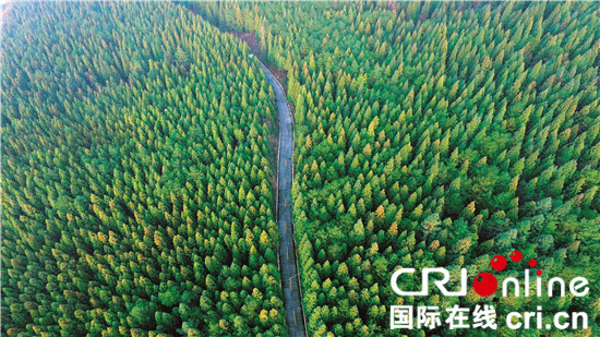 已过审【行游巴渝图文】石柱积极打造全国著名康养休闲生态旅游胜地