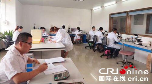 图片默认标题