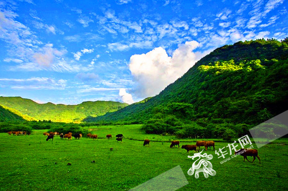 【行游巴渝标题摘要】2017丰都雪玉山·高山湿地露营季7月7日盛大开幕