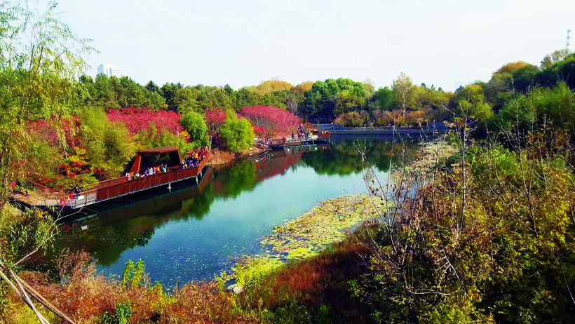 深秋的长春 处处皆美景