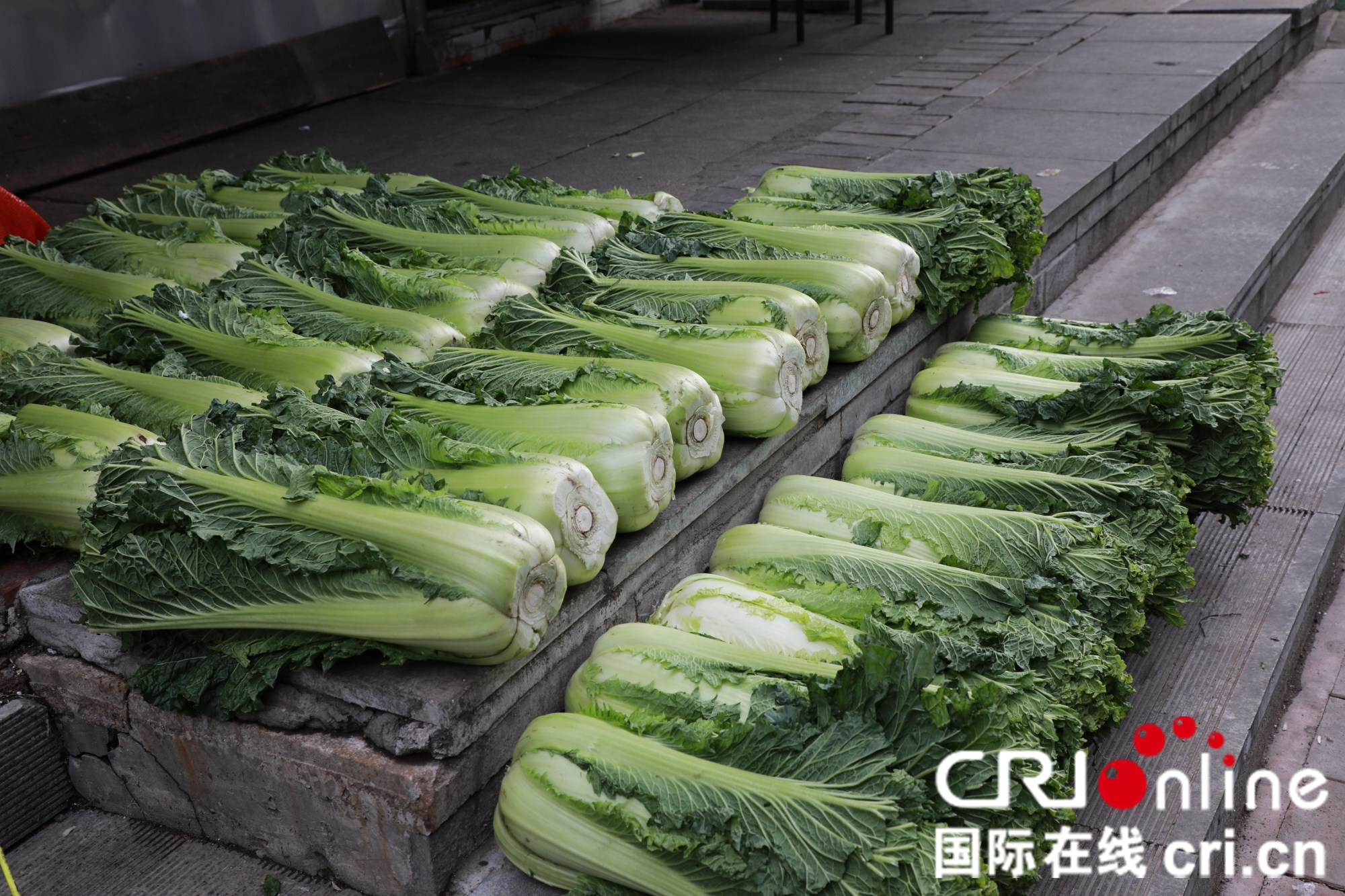 “酸菜教授”提醒：腌酸菜加西红柿鲜脆又营养