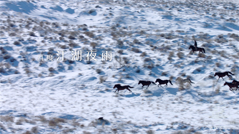图片默认标题_fororder_雪域奔马—几度“江湖夜雨”