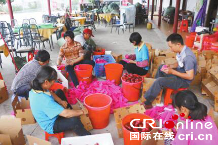 图片默认标题_fororder_2