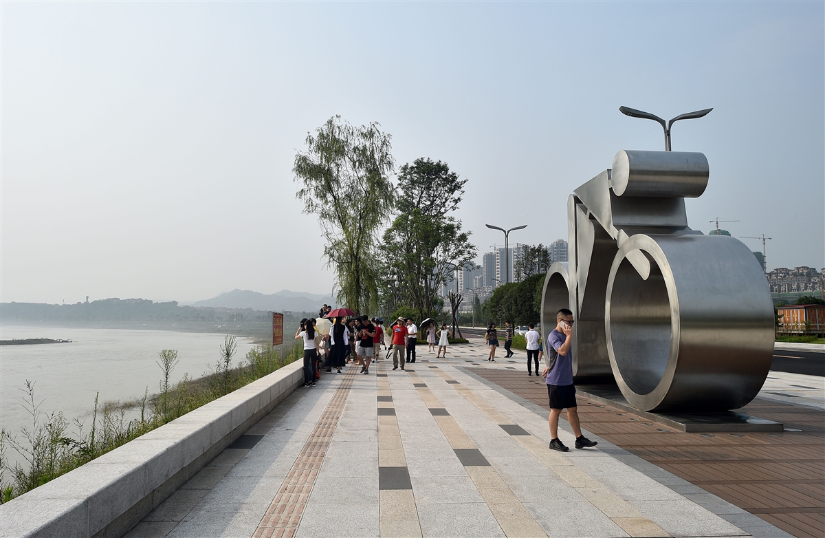 【共舞长江经济带】既是景区又是生态屏障 泸州张坝桂圆林挂果了！