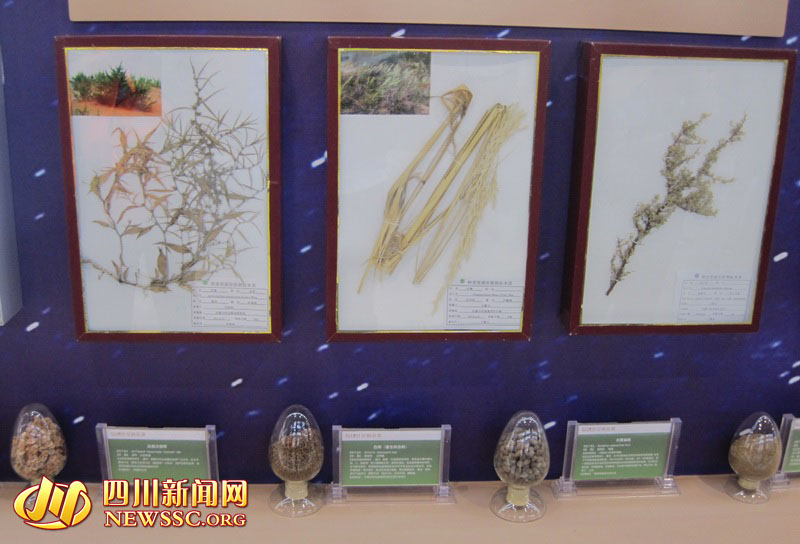 【壮美内蒙古 亮丽风景线】世界治沙看中国 中国治沙看“库布其”