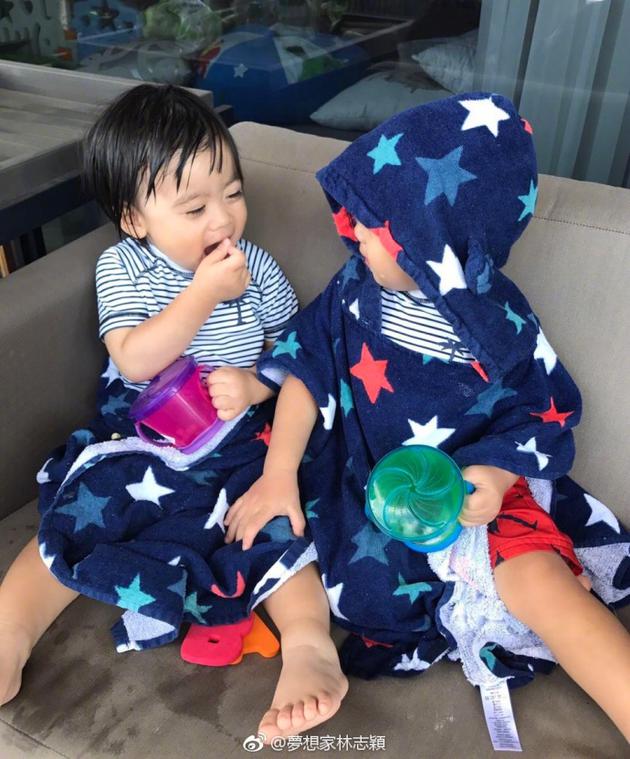 林志颖三子水中嬉戏 三兄弟和谐有爱幸福满满