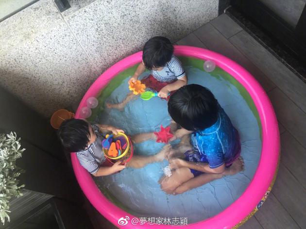 林志颖三子水中嬉戏 三兄弟和谐有爱幸福满满