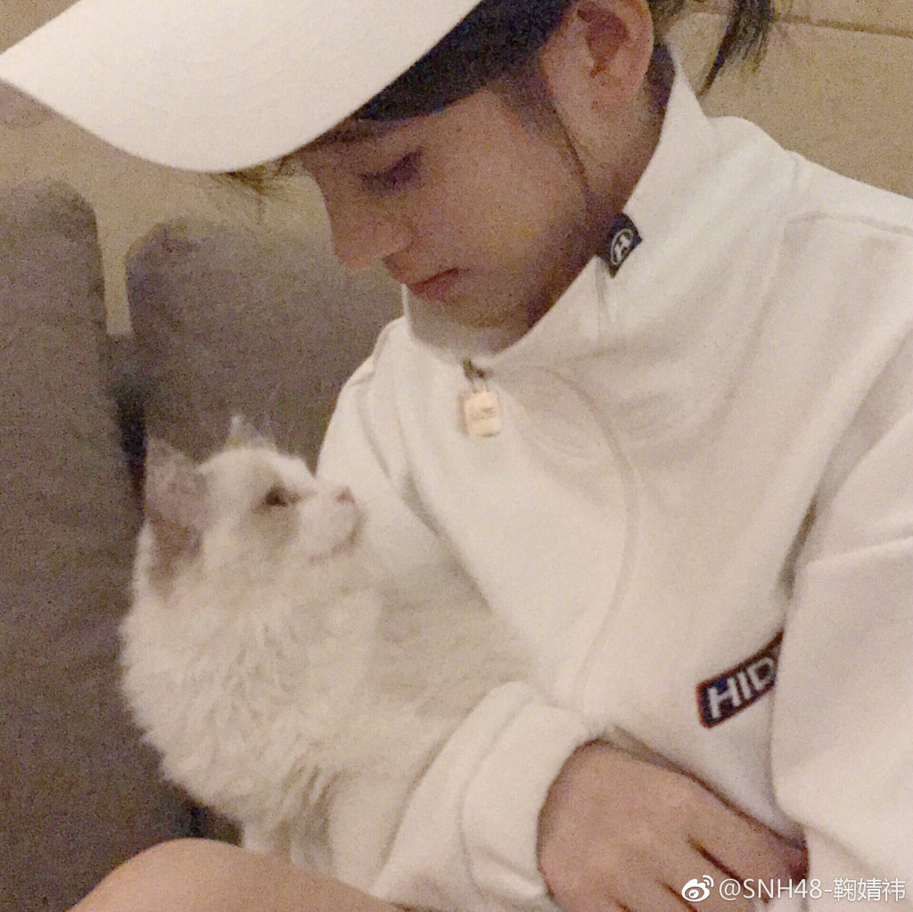 美人与猫！  "四千年美女"鞠婧祎和爱宠对视画面超美