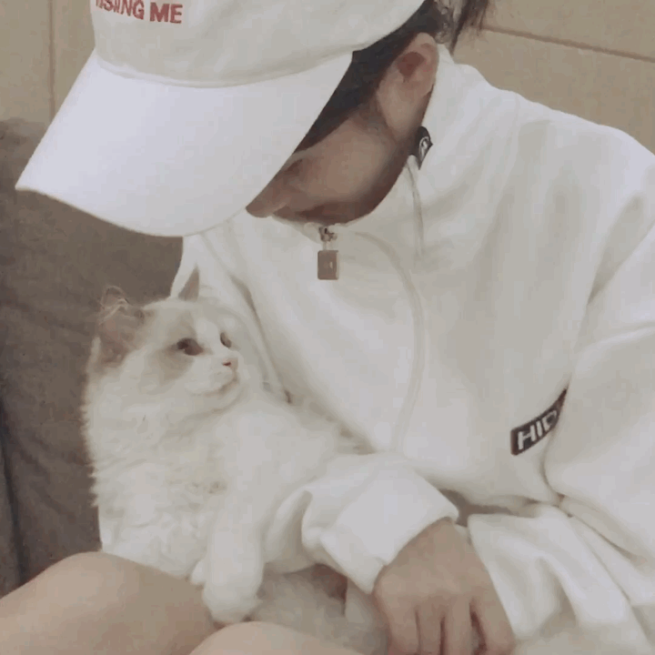 美人与猫！  "四千年美女"鞠婧祎和爱宠对视画面超美