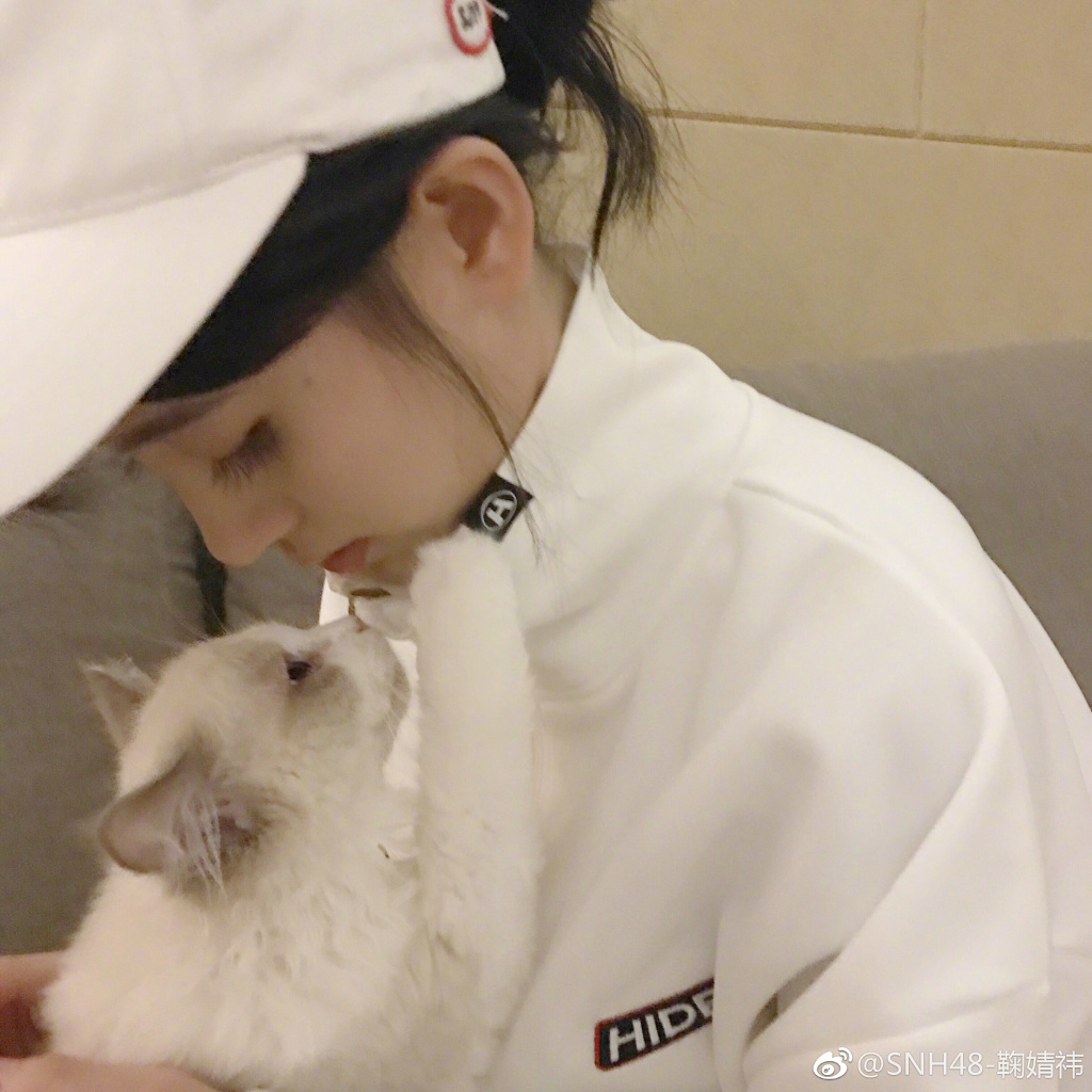 美人与猫！  "四千年美女"鞠婧祎和爱宠对视画面超美
