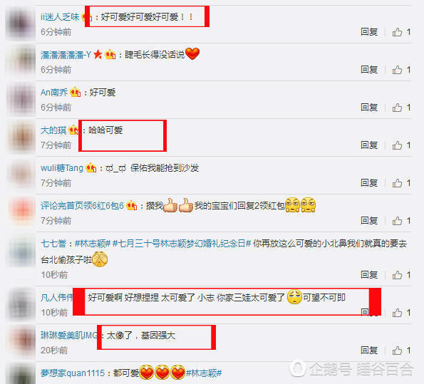 基因太强大，林志颖和儿子都有个爱笑的眼睛_娱乐_腾讯网