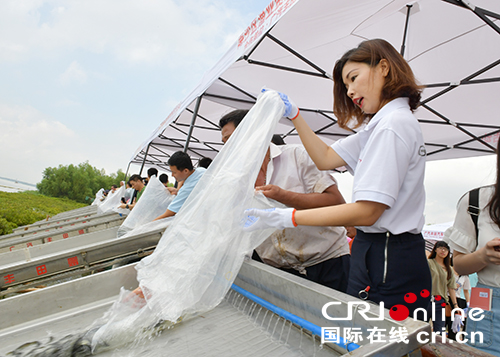 图片默认标题_fororder_1.JPG