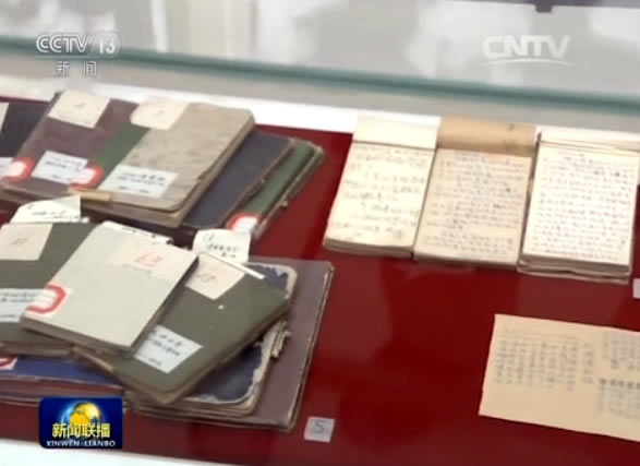 哪些展品吸引了习近平等领导同志的目光_新闻频道