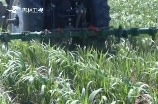 【砥砺奋进的五年】牢记嘱托不负使命：全面小康 一个都不能少