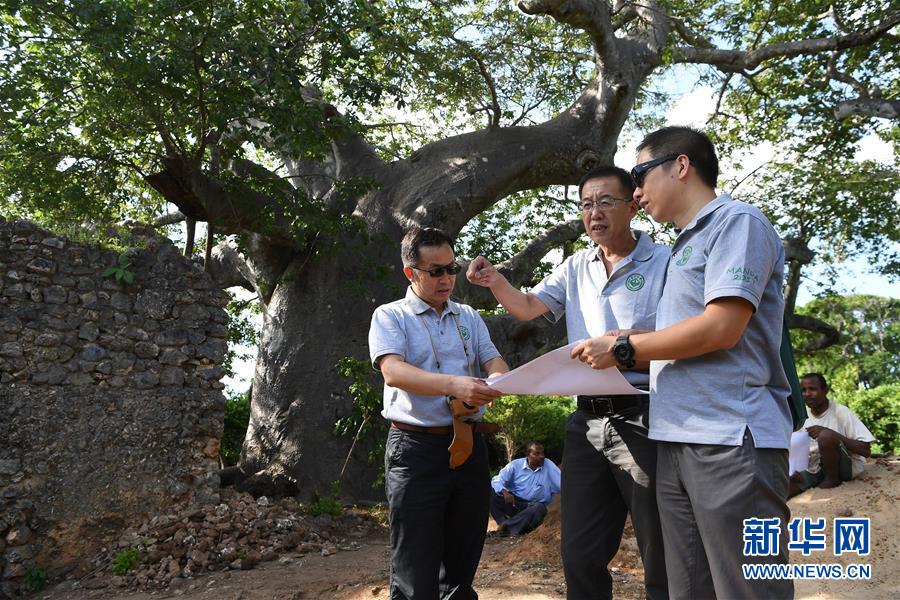 肯尼亚发现郑和下西洋时代中国血缘人骨遗骸（组图）