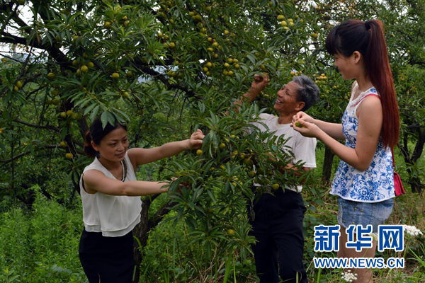 【区县联动】【垫江】垫江开启“缤纷夏日·果香垫江”盛夏鲜果采摘季 【区县联动】垫江开启盛夏鲜果采摘季