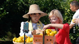 漂洋过海来看你（第二季）雪峰山下蜜橘甜_fororder_截屏2026-01-04 14.58.10