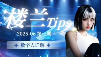楼兰Lora数字人~能讲课能带货