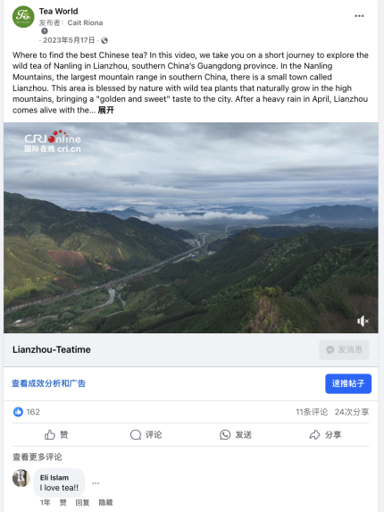 多语种传播助力连州野生茶香飘海外