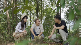 漂洋过海来看你（第二季）探秘旌德仙草_fororder_截屏2026-01-04 14.54.49