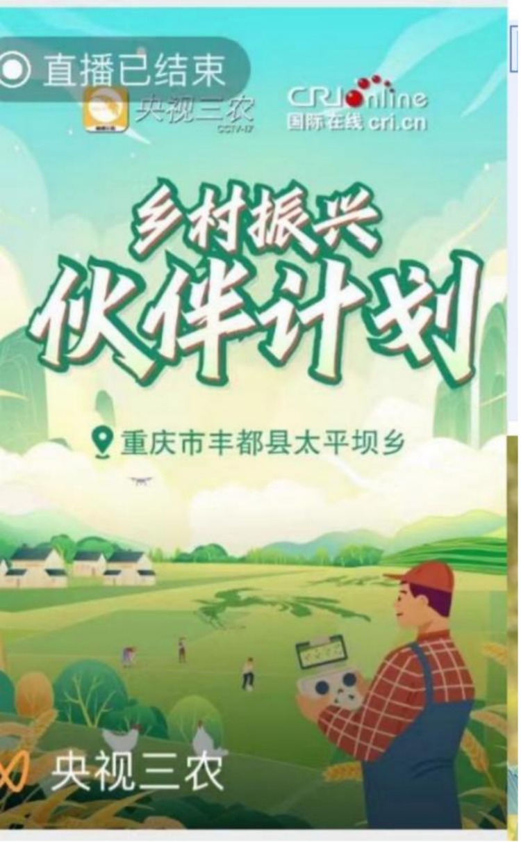 乡村振兴伙伴计划：以融合传播为丰都农业品牌建设“添翼”