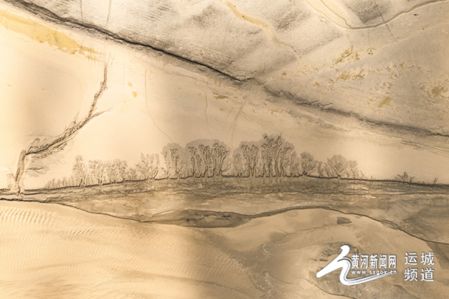 黄河平陆段河床惊现“大地之树”自然奇观
