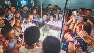 暑期文博热：众多游客走进山西博物院感受历史文化魅力