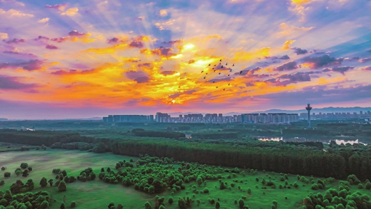 美丽的湿地晨景_fororder_184b9a26b140bd877196f2af393d2787