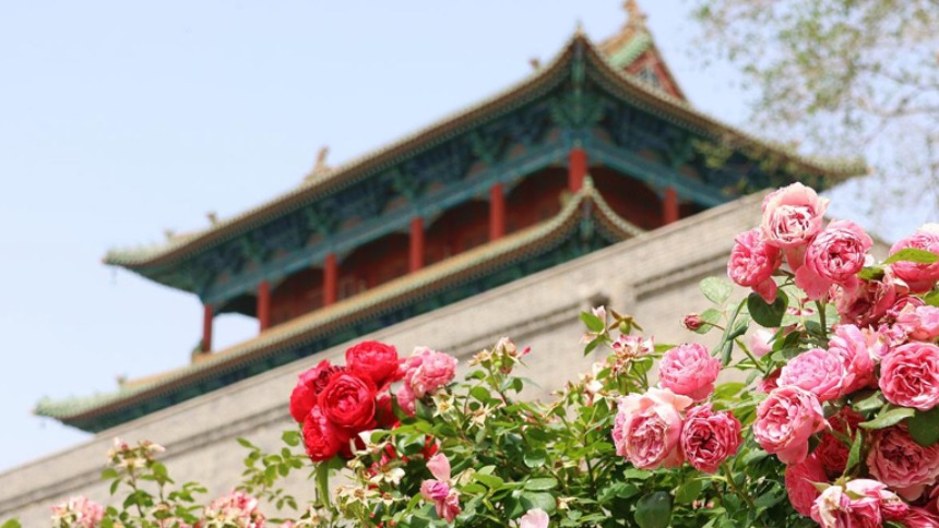 运城花浪灼街巷