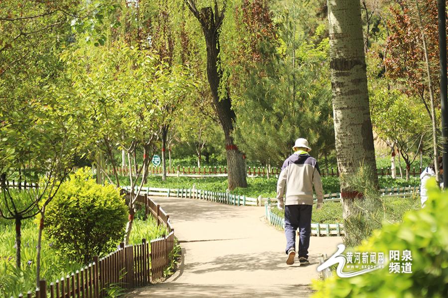 接下来的阳泉 是一万次的春和景明