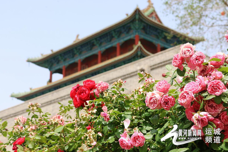 运城花浪灼街巷