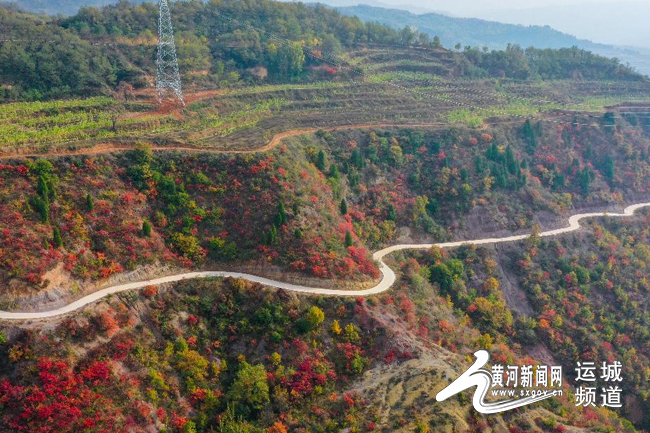 山西夏县：山路弯弯 秋景如画