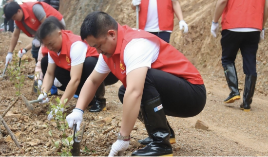 瓷城三两处 志愿服务添温度
