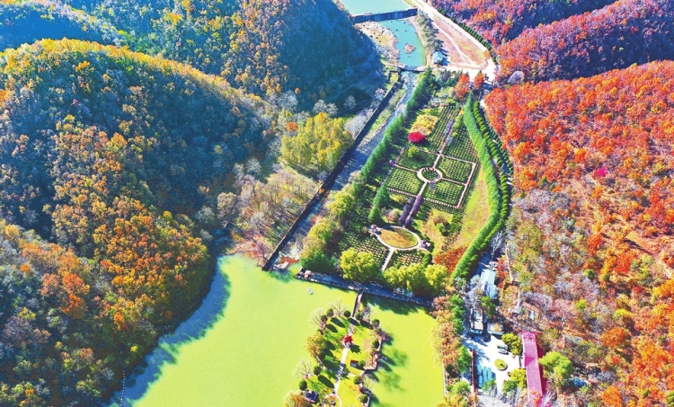 斑斓彩墨绘深秋_fororder_1a8dfd2121e00d71949b2de954397376