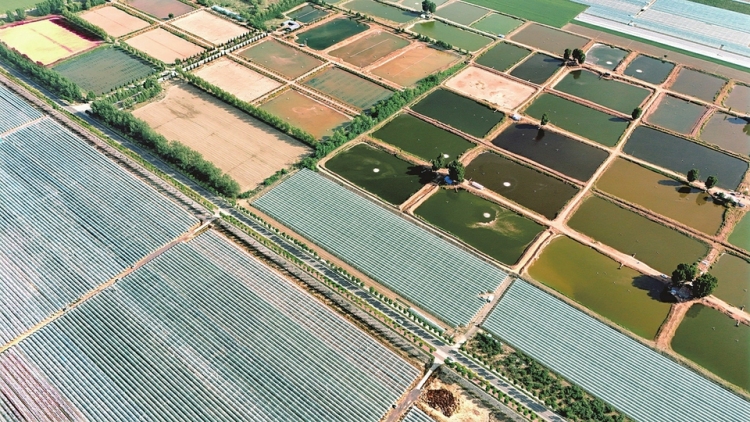 现代农业新图景_fororder_山西
