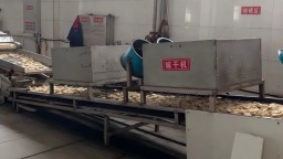 非遗美食传文脉 产业赋能启新程——健民实业助推山西寿阳高质量发展示范县建设