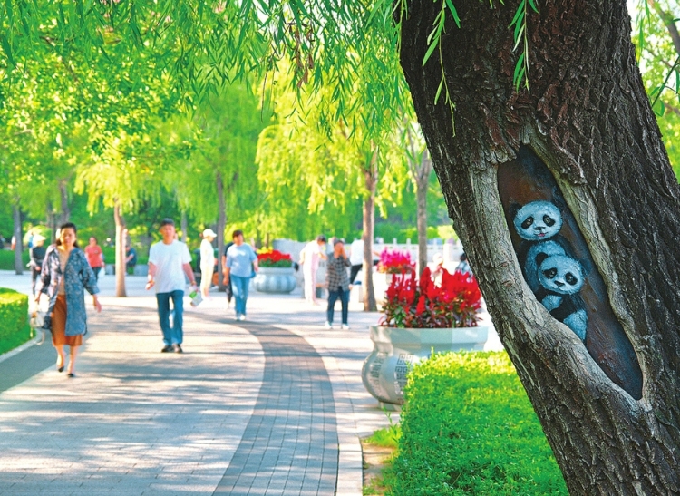 省城迎泽公园：树洞画成为视觉焦点 获得市民好评_fororder_4e6aaf121113c7983b65c7427d902d63