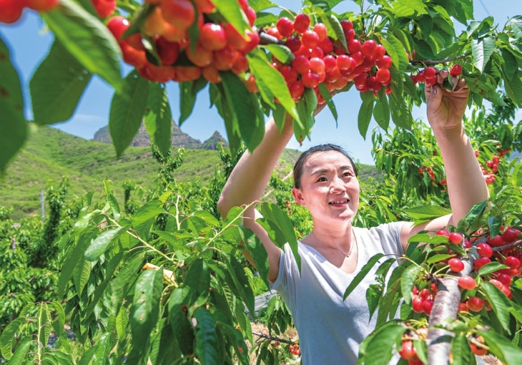 图片默认标题_fororder_山西