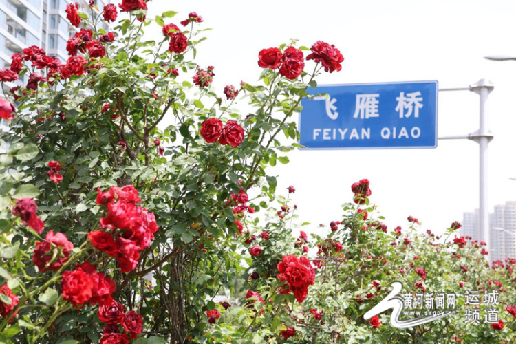 运城花浪灼街巷