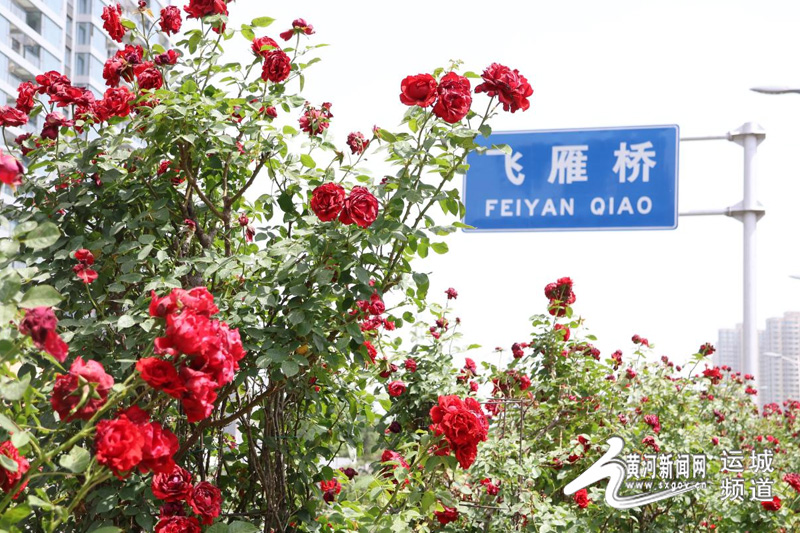 运城花浪灼街巷