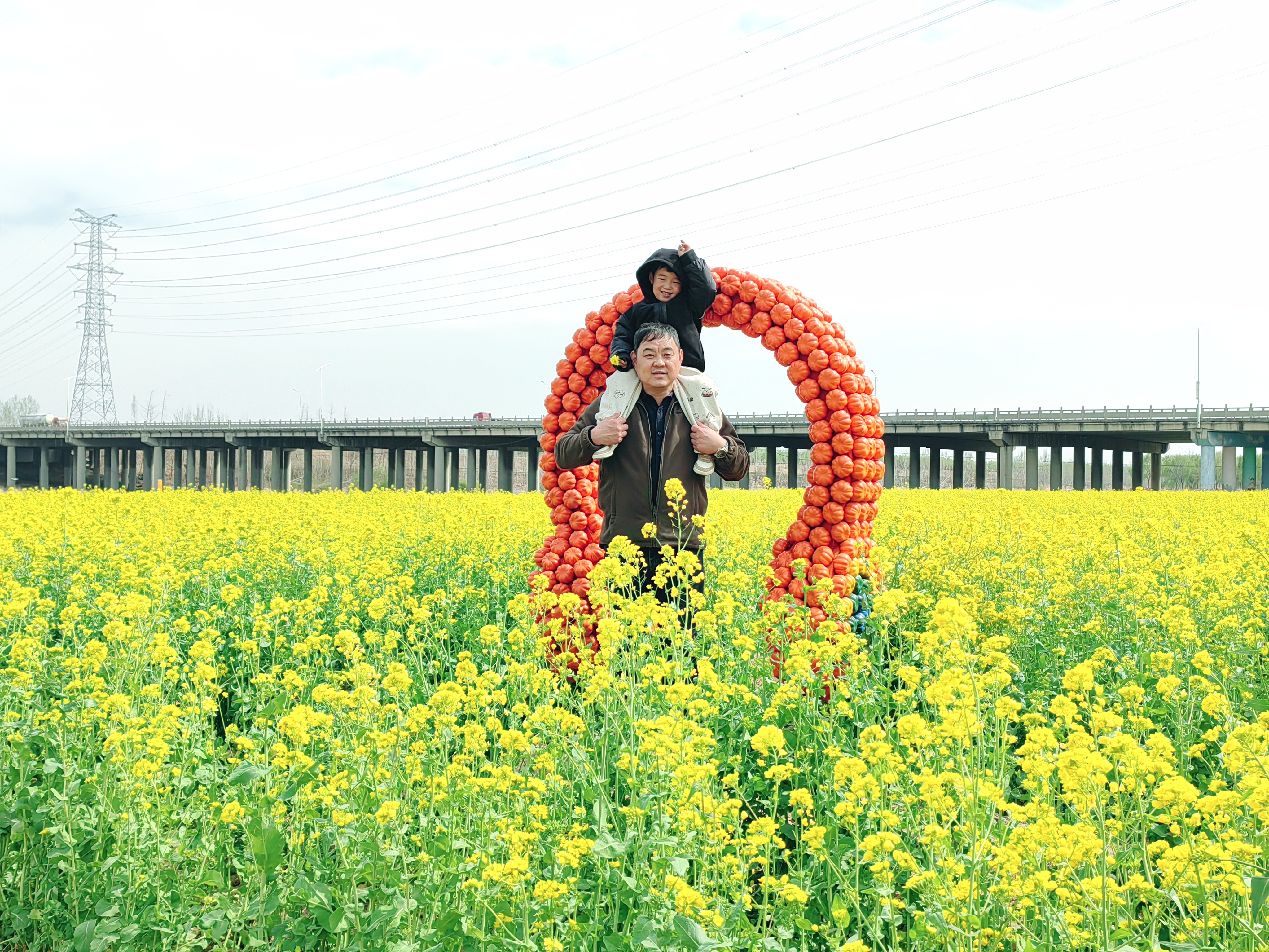 【花开齐鲁】济宁市兖州区千亩油菜花迎来盛放时节_fororder_ee8ad11b968f5513fe215af68f9c6f6