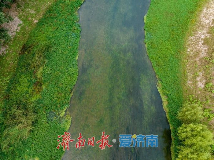 初秋济南玉符河畔：水清草盛景如画
