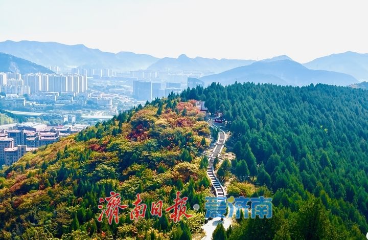 一山兩季!泉城蝎子山秋色漸濃