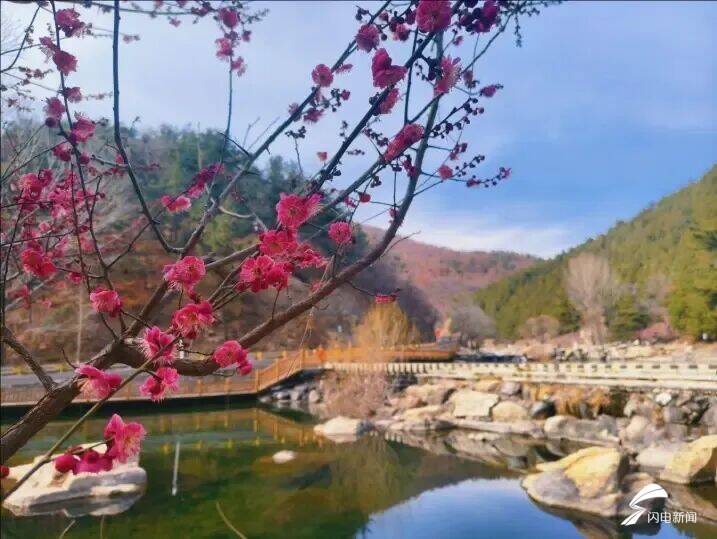 山东泰安：春到彩石溪 花开醉春风