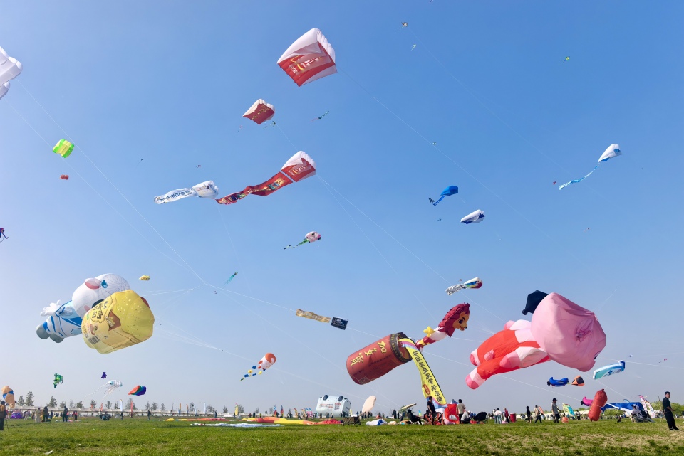 漫天纸鸢竞潍坊——2026潍坊风筝嘉年华掠影