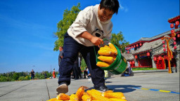 滨州：农民趣味运动会庆丰收_fororder_2f5780b405cf4d3690e470ed2238a5b0.700x494