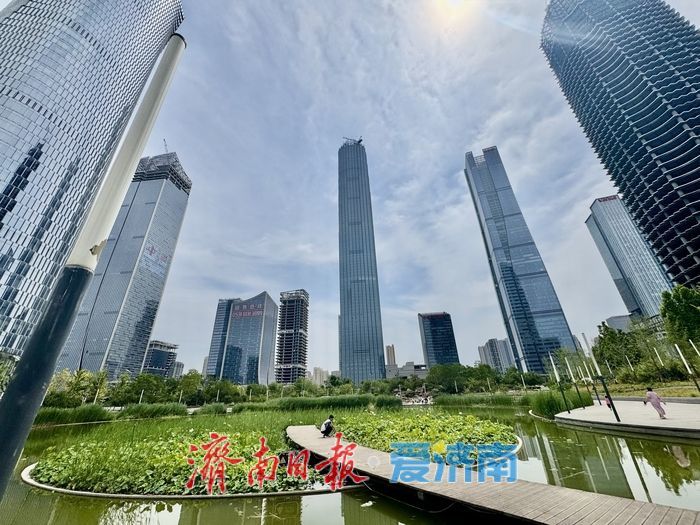 山东济南：荷花湖荷花盛放，绘就夏日美景