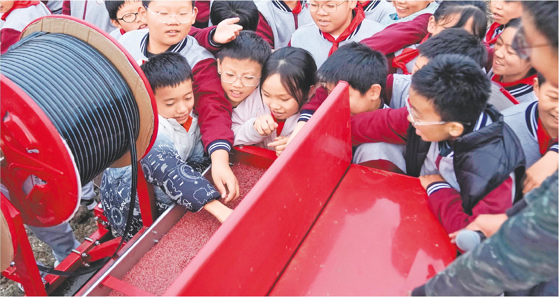 淄博文昌湖区：麦田里的成长课_fororder_08_08_0564