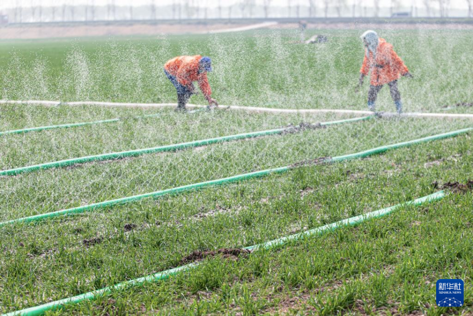 山东：不负春光耕作忙_fororder_【不负春光】4